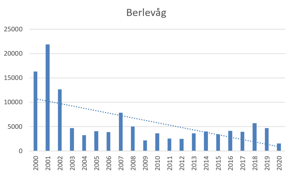 Utviklingen i sjølaksefisket i Berlevåg