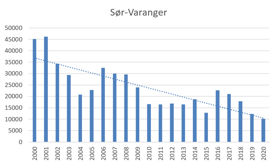 Trend sjølaksefiske Sør-Varanger