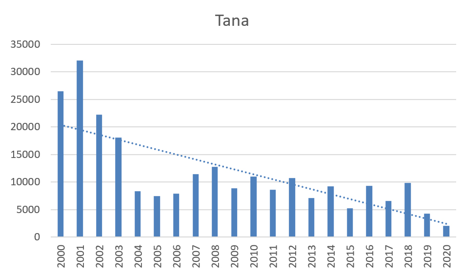 Utviklingen i sjølaksefisket i Tana
