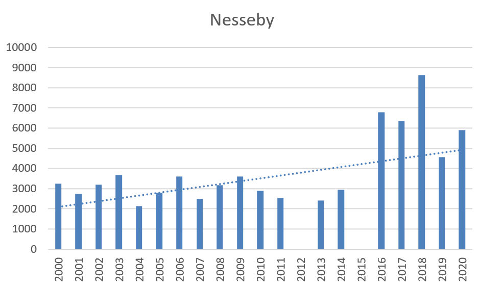 Utviklingen i sjølaksefisket i Nesseby