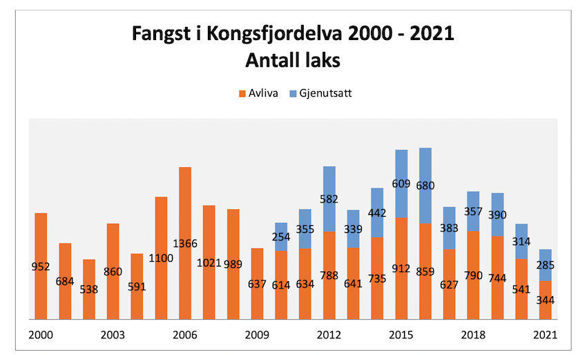 Fangst Kongsfjordelva