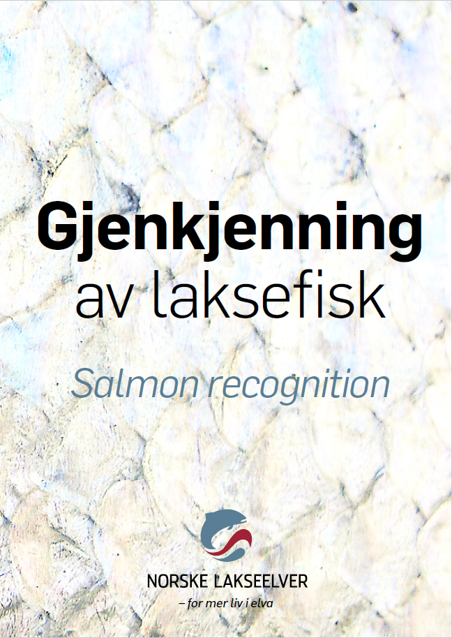 Brosjyre for gjenkjenning av laksefisk på norsk og engelsk