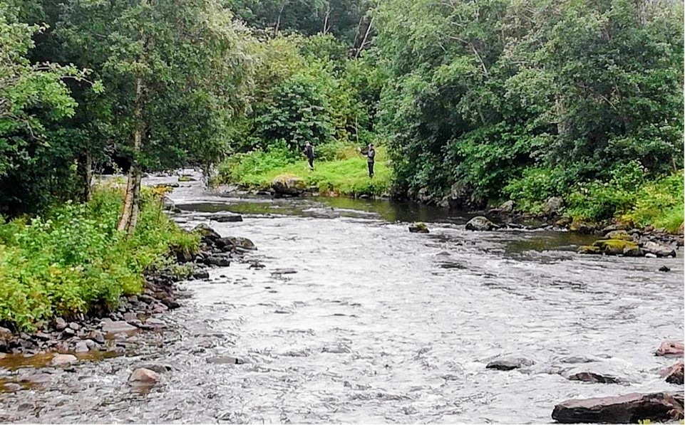 Teksdalselva