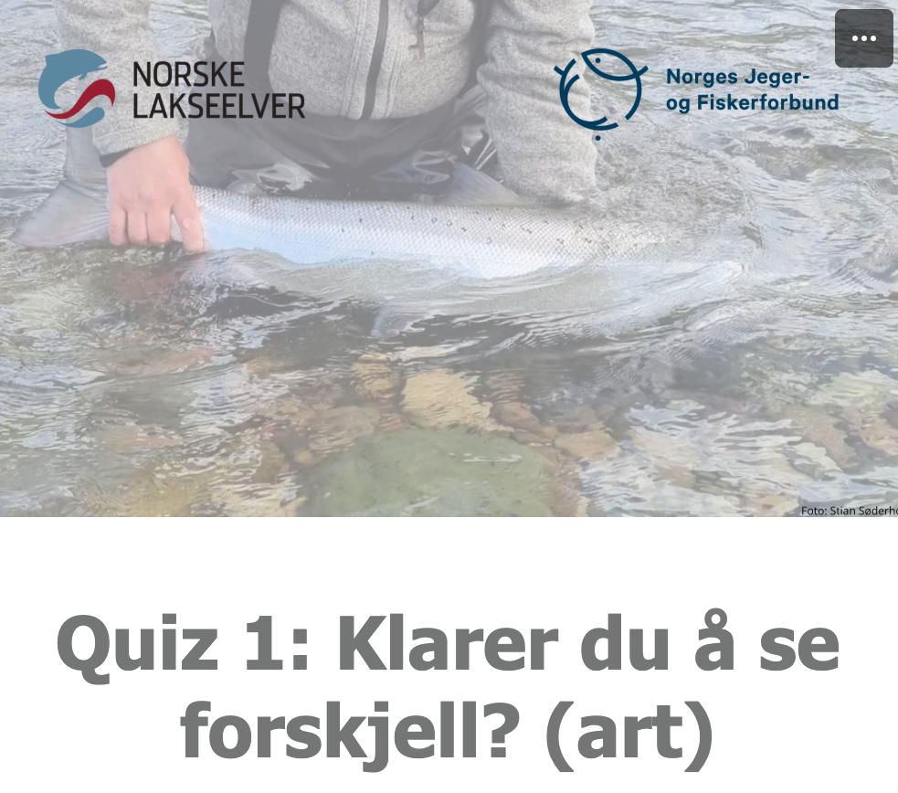 Quiz 2