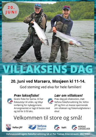 Plakat Villaksens dag Vefsna 2020