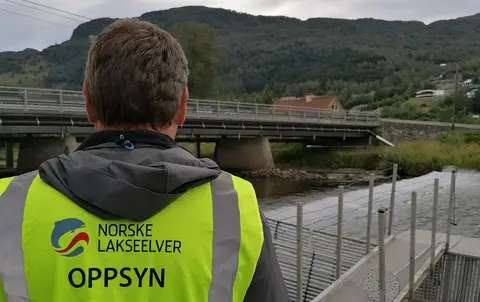Oppsynsvest