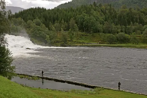 Lervik Høl, Gaula
