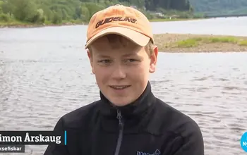 Ung laksefiskar