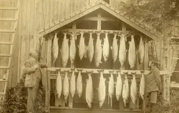 Røssåga_Korgen camping storlaks