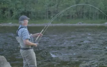 Laksefiske i Stjørdal