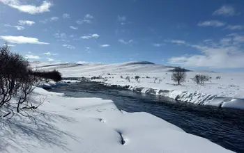 Kongsfjordelva i Vinterdrakt