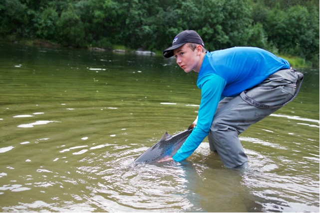 ​Jakob Bjørklund var en av årets deltakere på Camp Villaks, hvor han fikk denne laksen på drøye 7 kilo. Fisken ble satt tilbake, og sørget samtidig for at Jakob vant sesongkortet i Lakselva. Gratulerer!