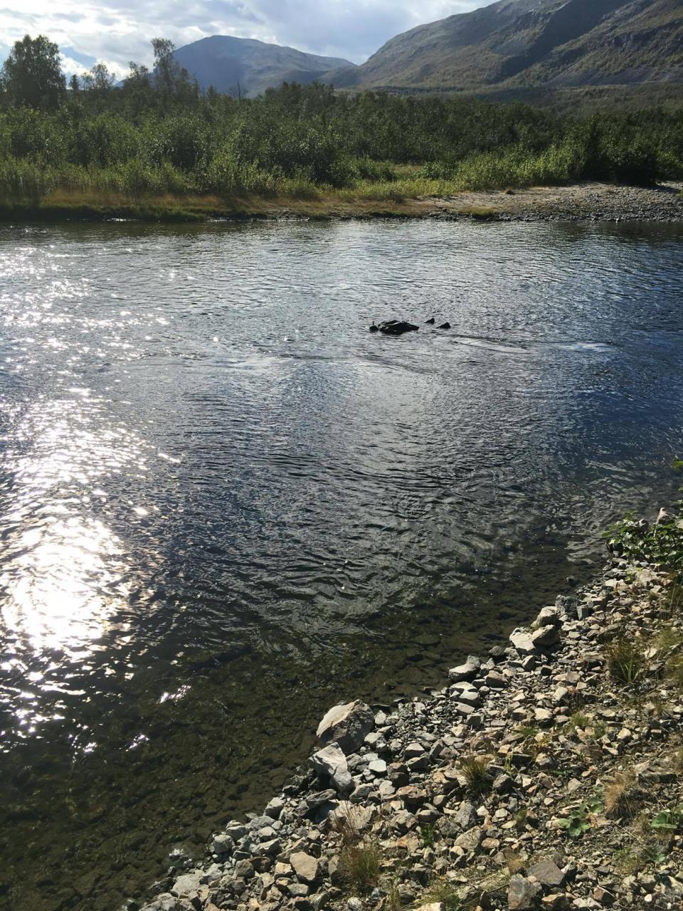 «Målgang» på Tiensuu. Her begynner det å bli dårligere sikt, på grunn av utvasking av leire.