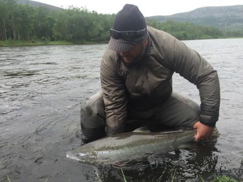 Trond Taraldsen fikk denne flotte fisken på 95 centimeter på kroken 7. juli. Bidraget til både gytebestand og gjenutsettingskonkurransen vår sikret han en tur til Island, gitt av Bergen Aktiv.