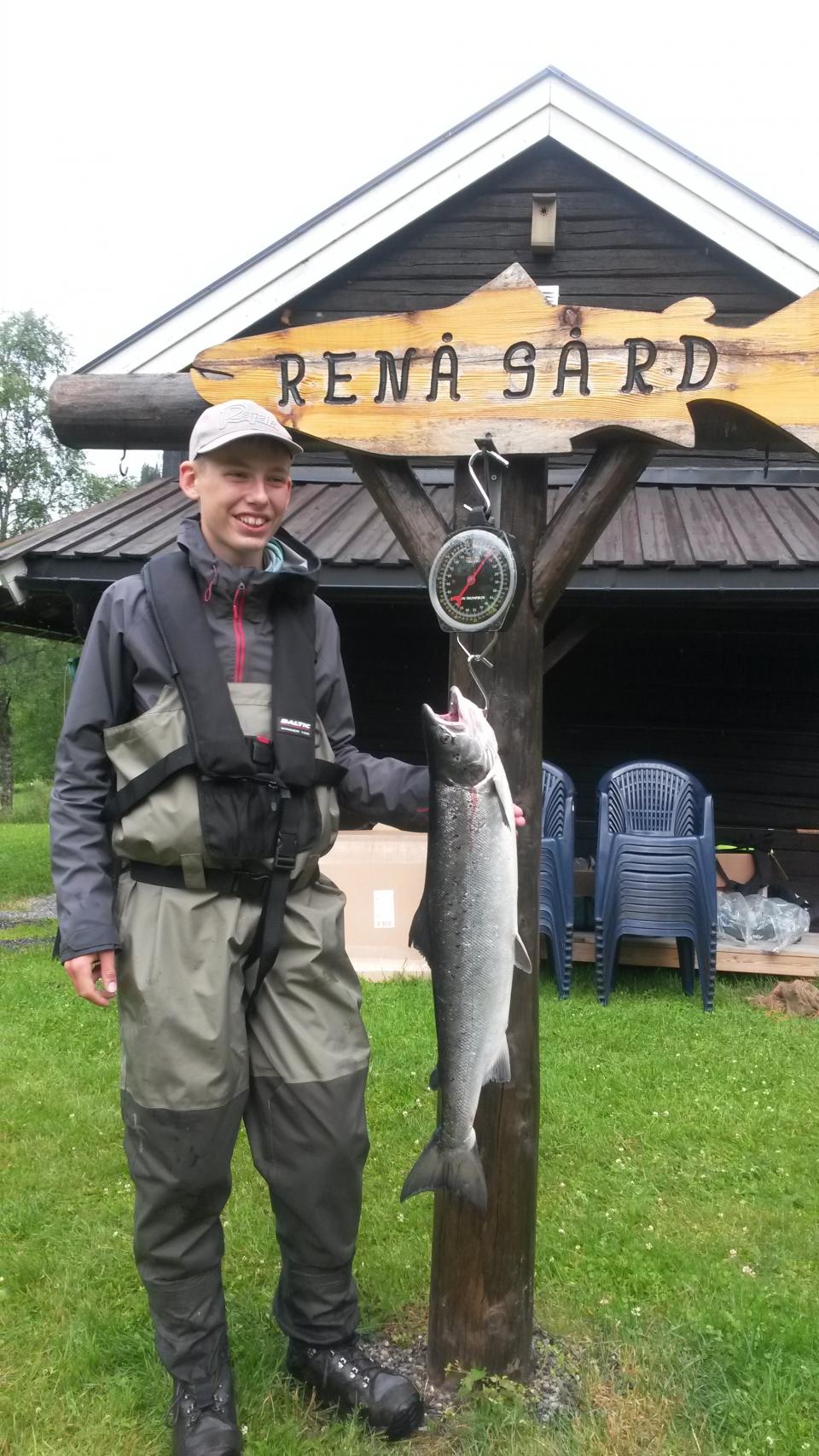 Camp Villaks Stjørdalselva 2016. Flott laks fanget onsdags morgen. 