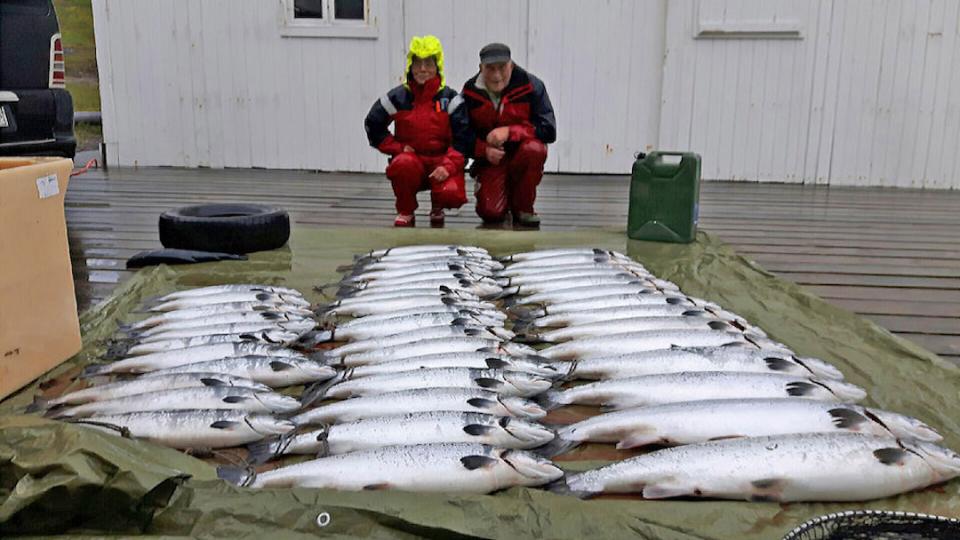 Her ser vi storfangsten Helge opplevde å få siste laksedøgnet 6.juli. Hele 43 laks gikk i krokgarnet, og den største laksen var på 16 kilo! FOTO: Gunnvald Hansen.