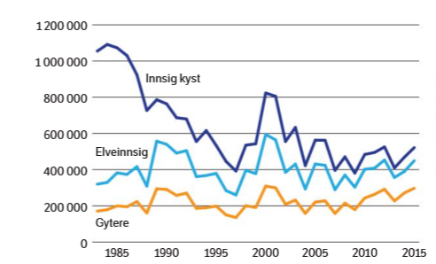 Figur 1. Beregnet antall villaks som årlig har kommet tilbake fra havet til kysten av Norge (innsiget, mørkeblå heltrukket linje), antall villaks som har kommet til elvene (lyseblå linje, det vil si antallet som er igjen etter beskatning i sjøen) og antall villaks som er igjen til gytebestandene etter beskatning (beige linje, det vil si antallet som er igjen etter beskatning i sjøen og elvene) i perioden 1983-2015.