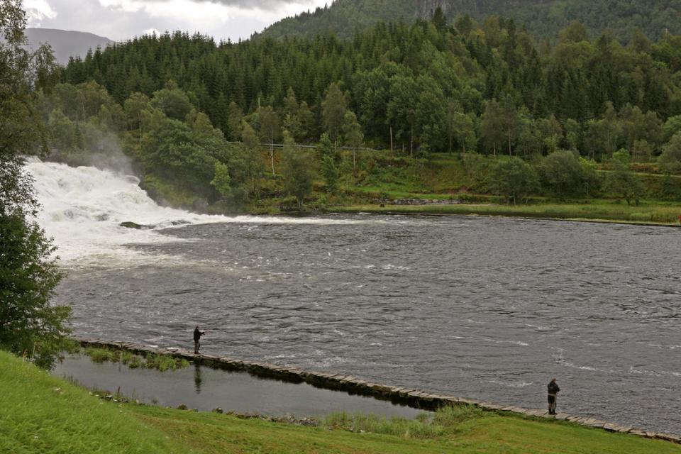 Lervik Høl er ein av Noregs sikraste stader for å oppleve å ha laks på kroken.