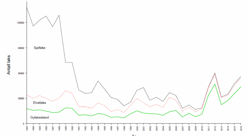 Fordeling mellom sjølaksefiske, elvefiske og gytebestand i perioden 1983-2016. Svart linje (beregnet antall laks som årlig har kommet inn til kysten av Vest-Landet (Hordaland til Stadt i Sogn og Fjordane), Rød linje (antall laks som har kommet til elvene, dvs. antallet etter beskatning i sjøen), grønn linje (antall gytelaks etter beskatning). Kilde VRL