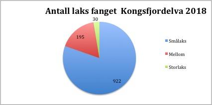 Fangst i Kongsfjordelva i sesongen 2018, med fordeling mellom små, mellom og storlaks.