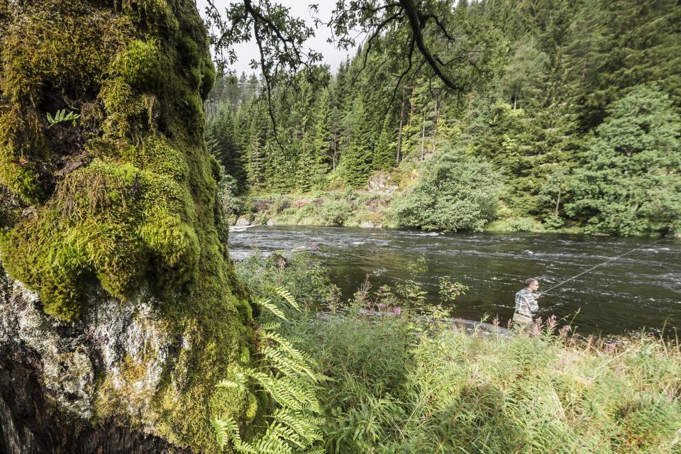 Lygna renner gjennom kulturlandskap som byr på flotte naturopplevelser.