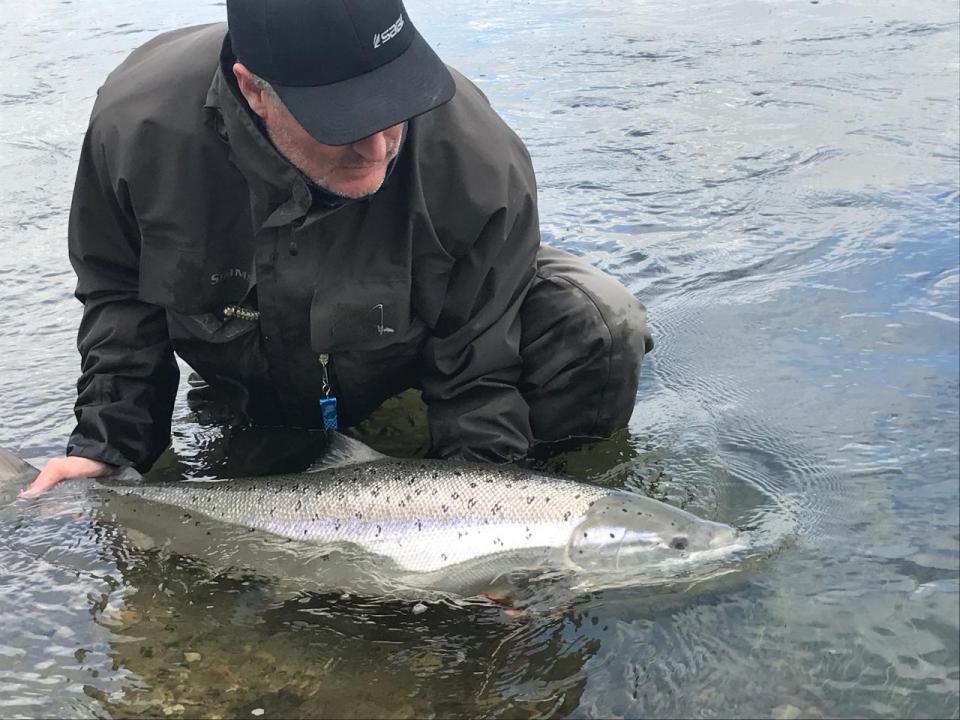 Et godt eksempel på hvordan fisken bør holdes når den skal gjenutsettes. Foto: James Martindale