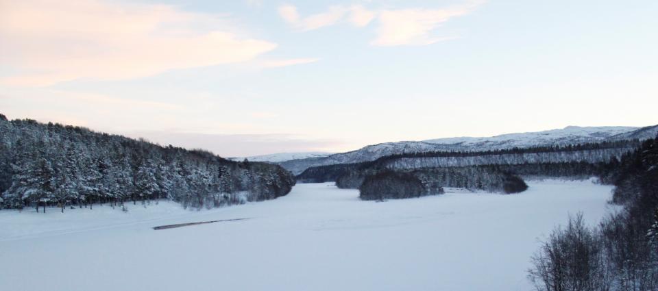 Øvre Sorrisniva i slutten av januar - foto: Karianne Johansen