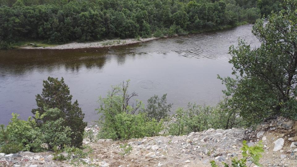 Har du planer om å fiske her til sommeren? Da kan du enten søke om en seksdagersperiode kun i sone 3, eller en seksdagersperiode hvor du har to kort i hver av sonene 1, 2 og 3.