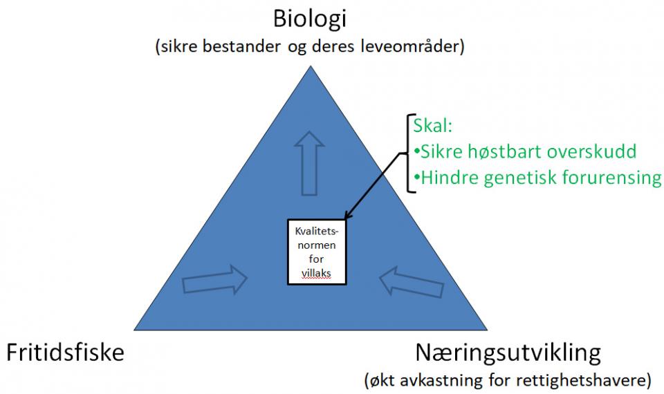 Fundamentet for lakseforvaltning ligger allikevel i den såkalte Lakseloven, som peker på tre hovedpilarer som utgjør laksefiske, og det er styrende for den jobben som legges ned i lokal lakseforvaltning (Norske Lakseelver).