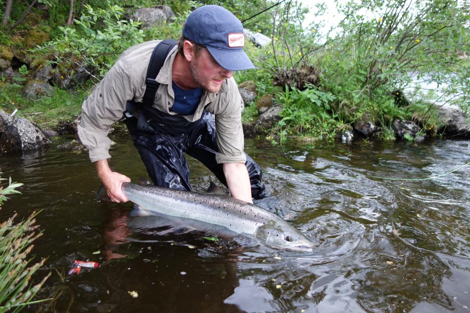 Lars Bendixby med en sølvblank hofisk fra sone 3. Man skal være forsiktig med å karakterisere andre, men såvidt meg bekjent er han også tidvis ganske besatt av laksefiske!