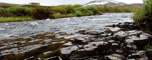 Idag har Kongsfjordelva minstevannføring, men i nærmere en mannsalder var sommerens lave vannføring et stort problem.