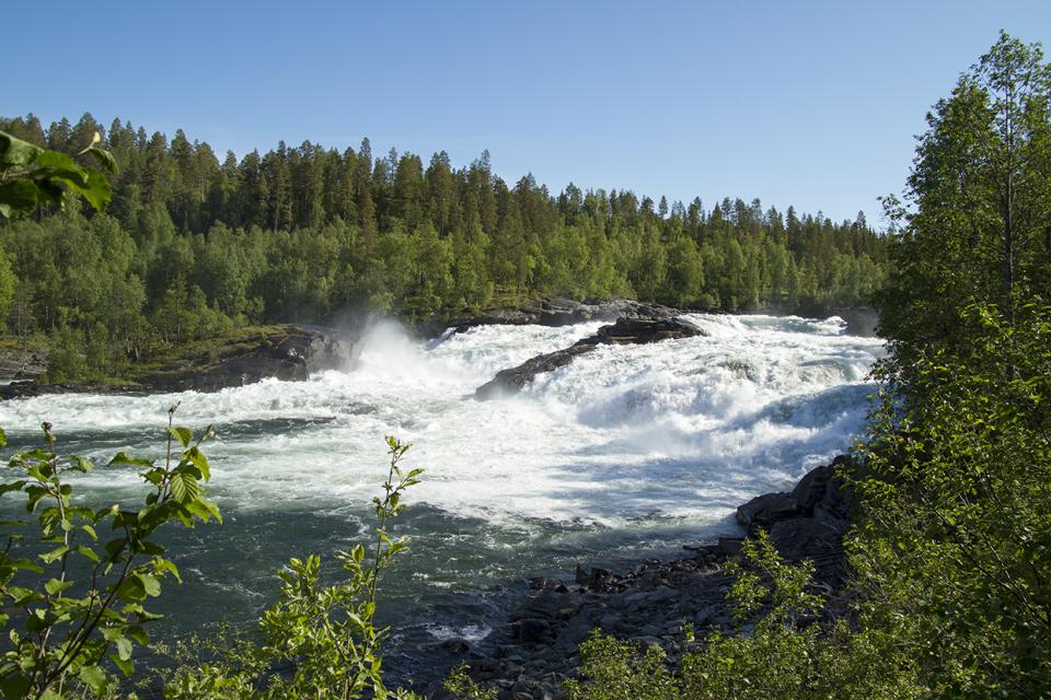 Målselvfossen er Norges nasjonalfoss. I fossen er det laksetrapp og under fossen er en av landets beste laksefiskeplasser.