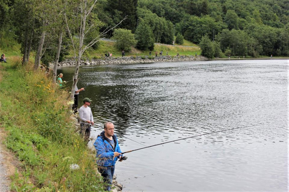 Mange fiskere på Villaksens dag i Nidelva denne dagen, men svært dårlig bett dessverre. Foto TOFA/ Kay Arne