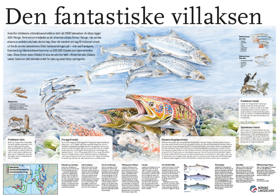 materiell-norske-lakseelver