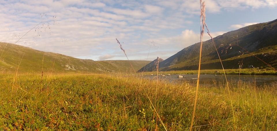 Naturen rundt Storelva er værhard og karrig - men også ren og uberørt villmark.