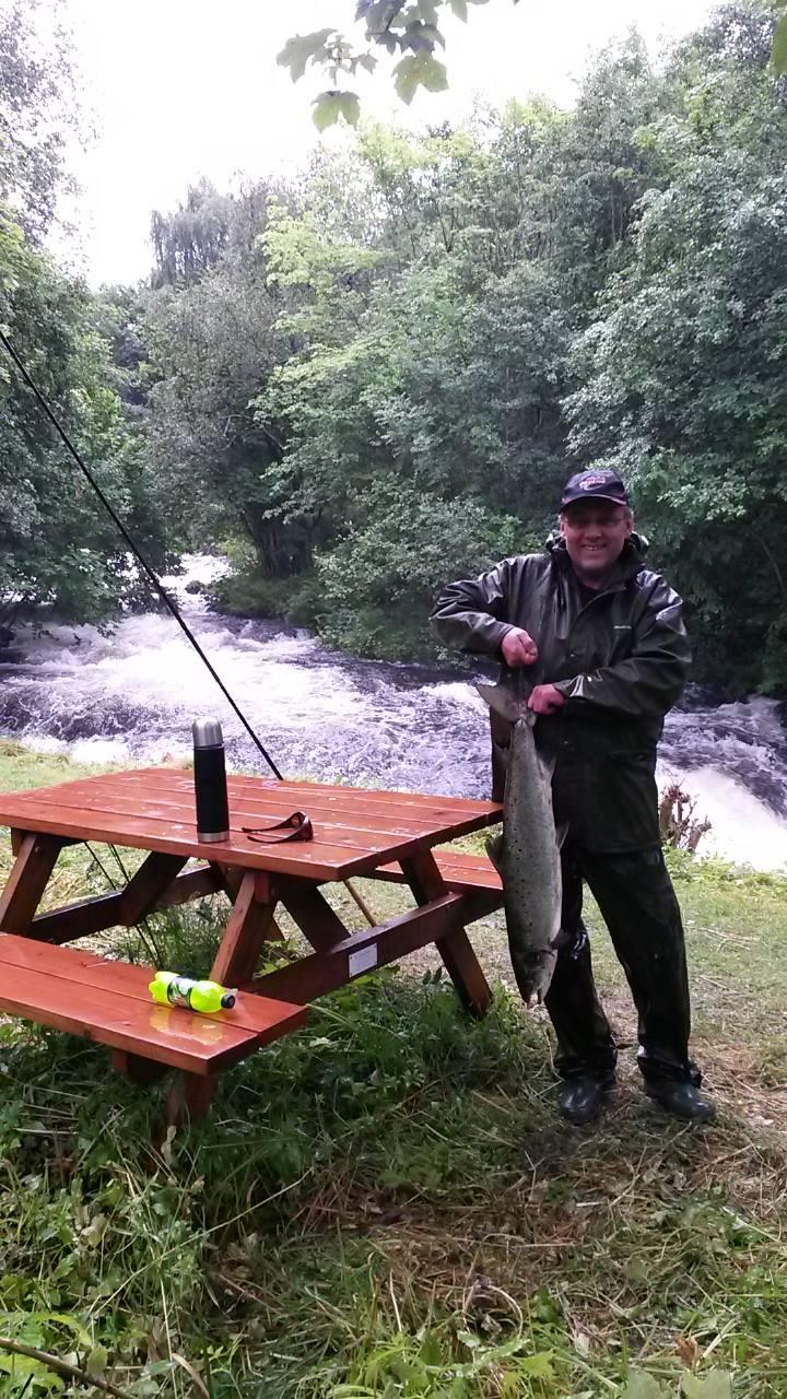 Storlaks i Øyraelva. Foto Knut Magne Årseth