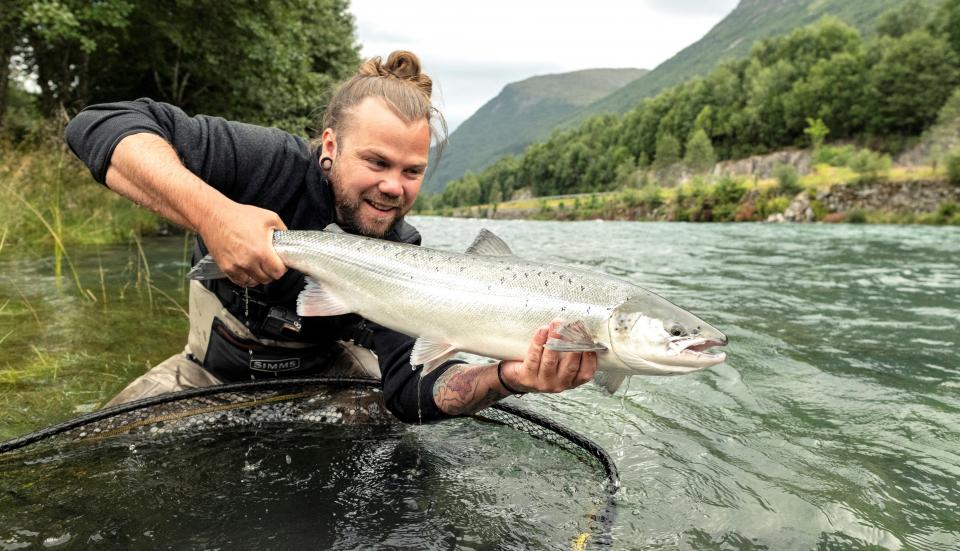 En flott nygått Strynelaks.