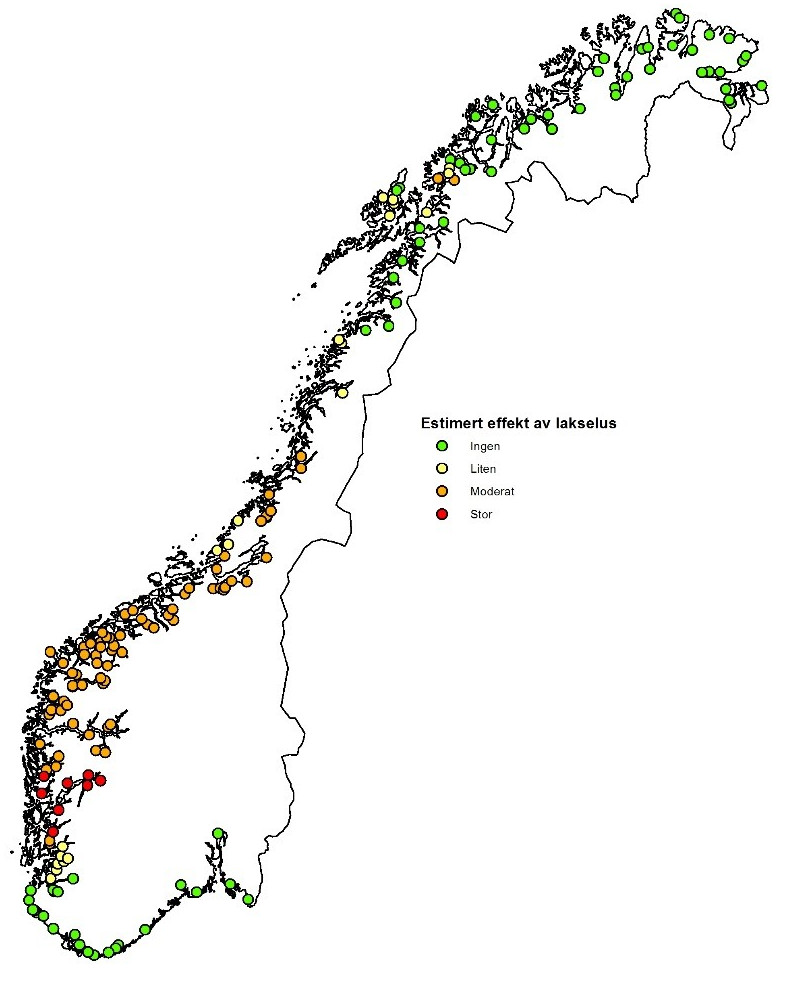 Vitenskapelig råd for lakseforvaltnings oversikt over lakselusas påvirkning på elvebestandene langs kysten.