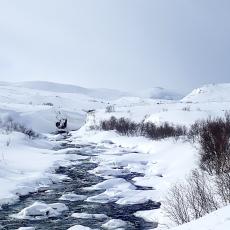 Kongsfjordelva - vinter