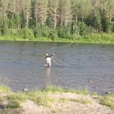 Målselva fluefiske