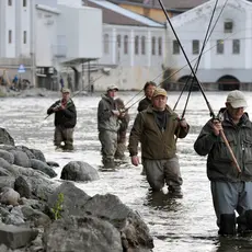Fiskekø i Drammenselva