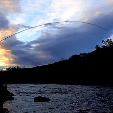 Fiske Kongsfjordelva