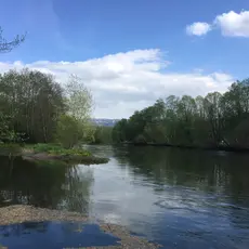 Rydding og Vår i Elva