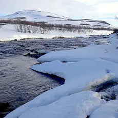 mai kongsfjordelva