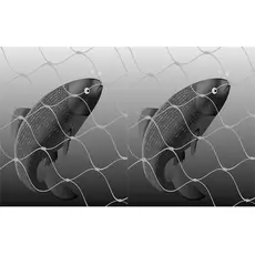 Sjølaksefangsten i Kongsfjorden