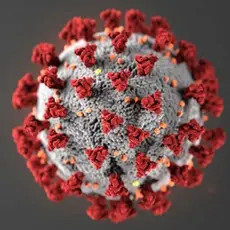 målselva laksefiske