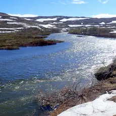 Flomstor Kongsfjordelva