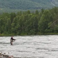 Målselva_fluefisker