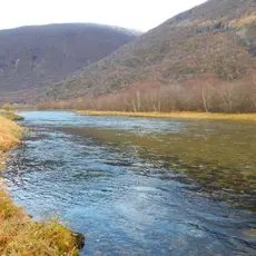 Lærdalselva