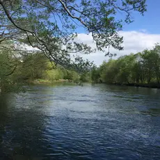 Årsmøte 2021 pandemi?